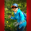 이심전심 이미지