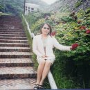 채봉농장 Daum카페