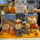 이니스바이오 | [제주도] 아시아나항공 김포-제주 OZ8921, 에어부산 BX8022 후기 | HL8039 A321-200, HL7730 A321-231