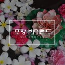 비데랜드 - 포항시 북구 용당로 33 | 비데랜드