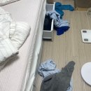 띵까띵까 이미지