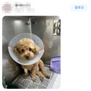 은계동물병원 이미지