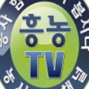 흥농종묘사(흥농종묘)(흥농아그로) / 흥농TV / 마늘 후기 병해충 생육관리 흥농4종세트 농법