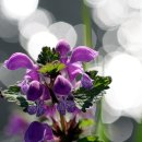 커피YOU