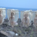 마른5 이미지
