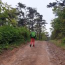 이화콘도민박 이미지