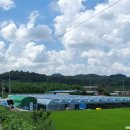 인암농원 이미지