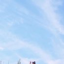 윤주농장 이미지