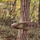 임승용행정사무소 이미지