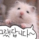 무드메이커 메이크업