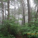 좌운1리 마을회관 이미지