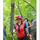 카페송림 이미지