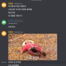 팀크러쉬주짓수 | 주간일기 4주차 (06.27~07.01)