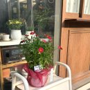 주정차102 이미지