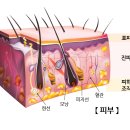 헤이데이의원 이미지