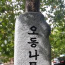 오동나무집 이미지