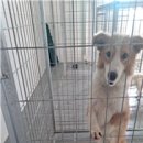 용앙주유소 이미지