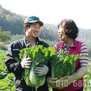 양달농장 이미지