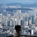 신현대부동산중개법인 이미지