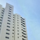 보성타운 이미지