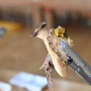 옥포로(옥포2동) 이미지