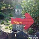 산야초원 네이버블로그