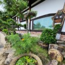 진도한옥목향민박 이미지