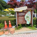 사상공원
숲속모험놀이장
화장실 | 부산 사상근린공원 숲속모험놀이장 아이가 좋아하는 놀이터