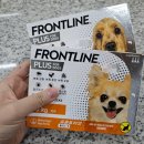 서정부부약국 이미지