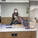 (주)아성다이소부산괴정점 | 괴정염색잘하는미용실 화미주헤어신괴정점 태리쌤 내돈내산