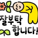 백소정오산