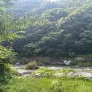 무주 풀빌라 옐로스톤 이미지