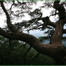 공세울민박 이미지