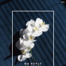 노리플라이 콘서트 이미지