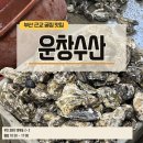 창수식당 | 부산 근교 가덕도 굴찜·굴파전 맛있는 운창수산 오픈런