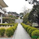 효령대군 묘소 청권사 이미지