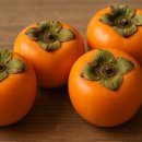 단감상회 이미지