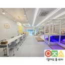인천 연수구 송도2동 키즈카페 5 비교 및 솔직 리뷰