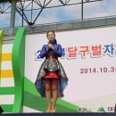 2014 달구벌 자전거대행진(대구 두류공원 야구장) 이미지