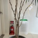 전주한옥마을스테이하루 이미지