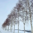 렌트투어 이미지