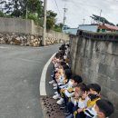 기장초등학교병설유치원 이미지