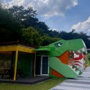 도림사 오토캠핑장 | 곡성 동물카라반 캠핑장 광주근교 도림사 오토캠핑장 내돈내산