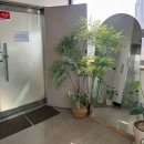 워너비 동물병원 | 광주 동명동 사진관 동구청 근처 워너비스튜디오(前 구현) 셀프사진 및 증명, 여권 추천후기