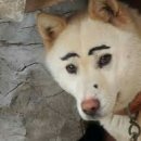 간지로