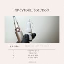 라티엔느 이미지