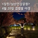 양지터널 위 공원 공중화장실 | 당진 남산건강공원 / 남산공원 겹벚꽃 4월 20일 야경 산책 후기