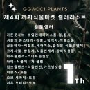 까치플랜츠