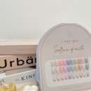 댕댕이 애견샵 이미지