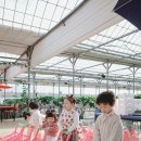 슬기농장 | 일산 딸기농장체험 성연딸기2농장｜사진예쁨주의